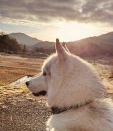 最近の振り返り…